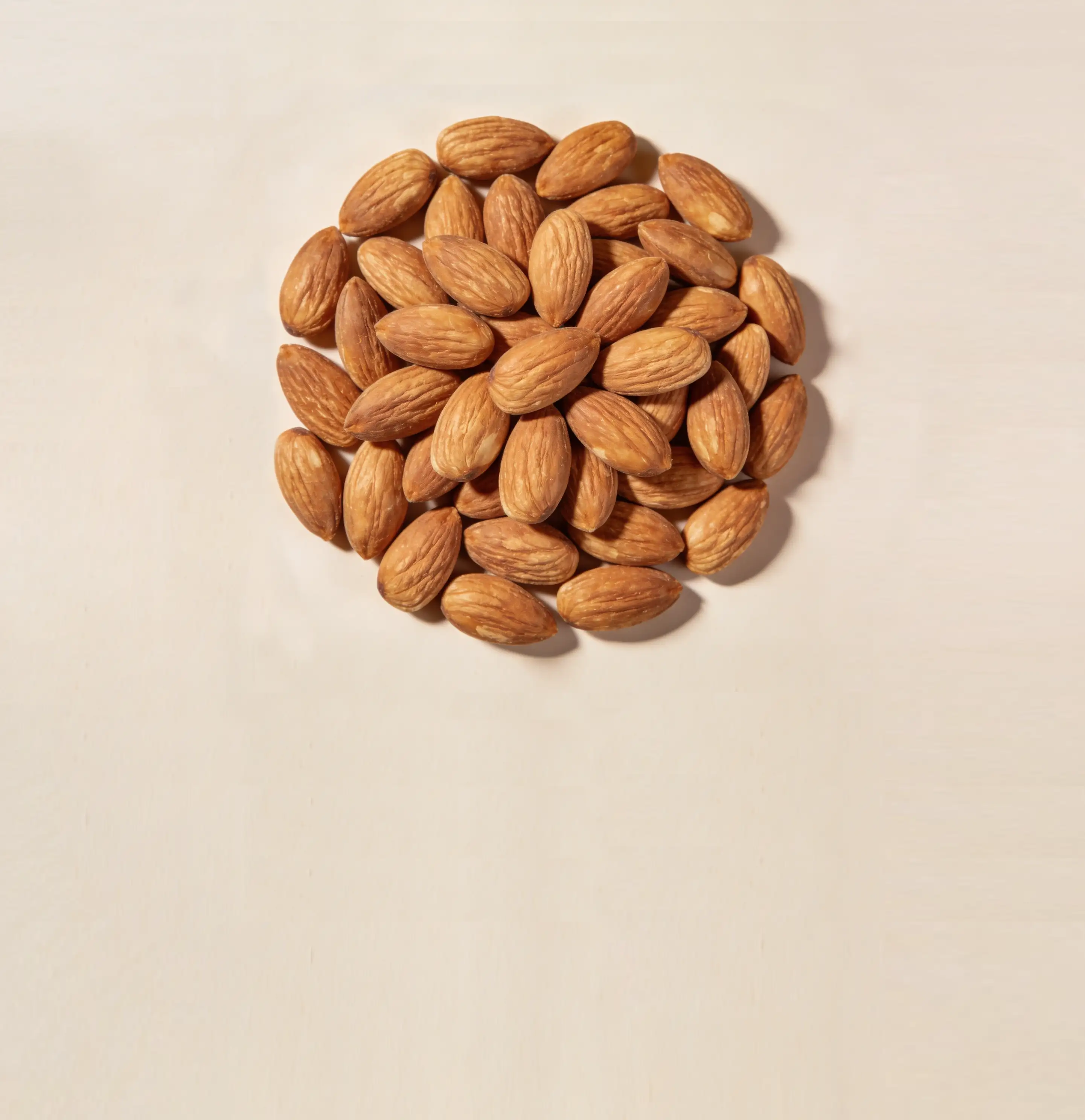 Frutos Secos y Semillas