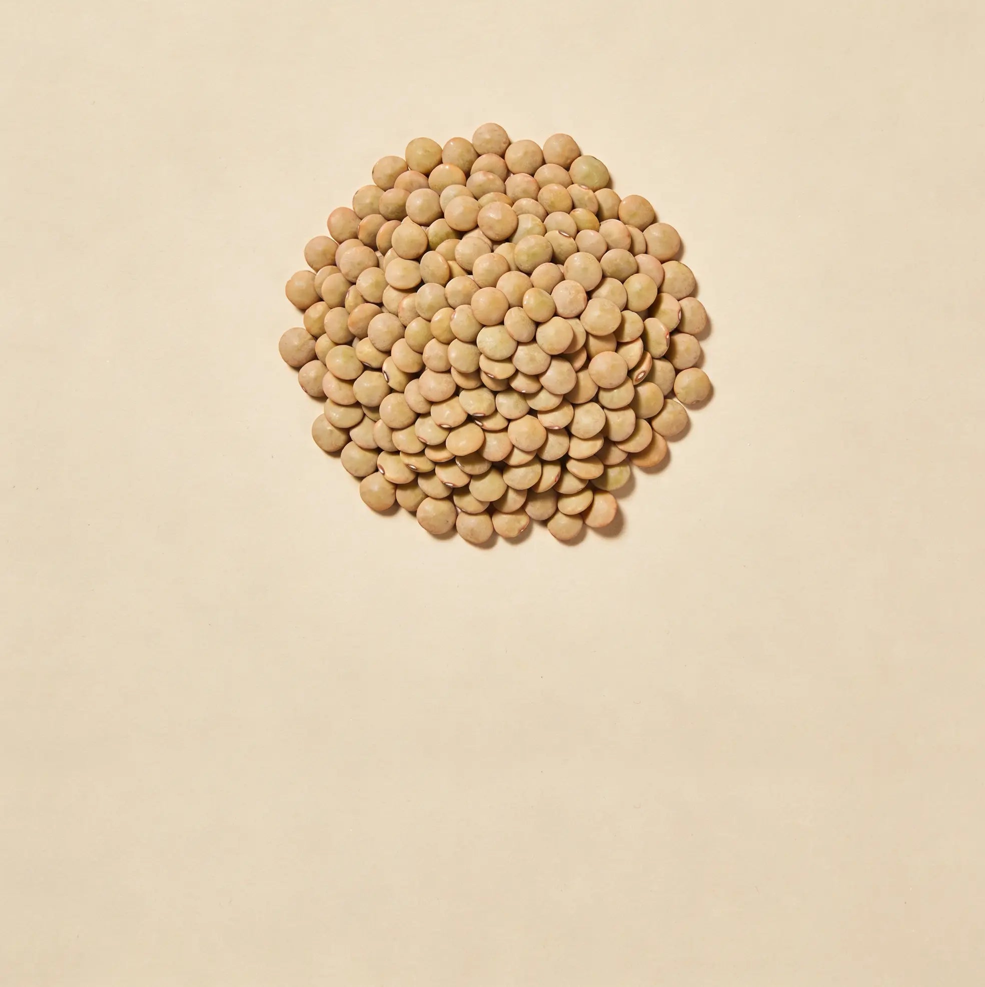 Granos, Cereales y Legumbres