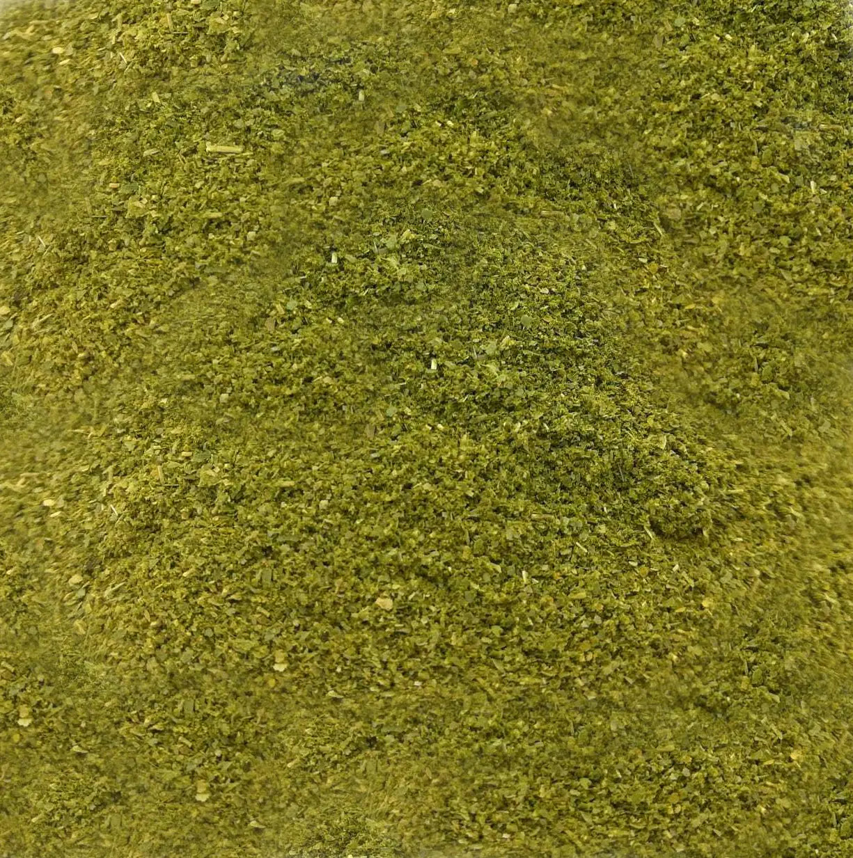 Moringa molida