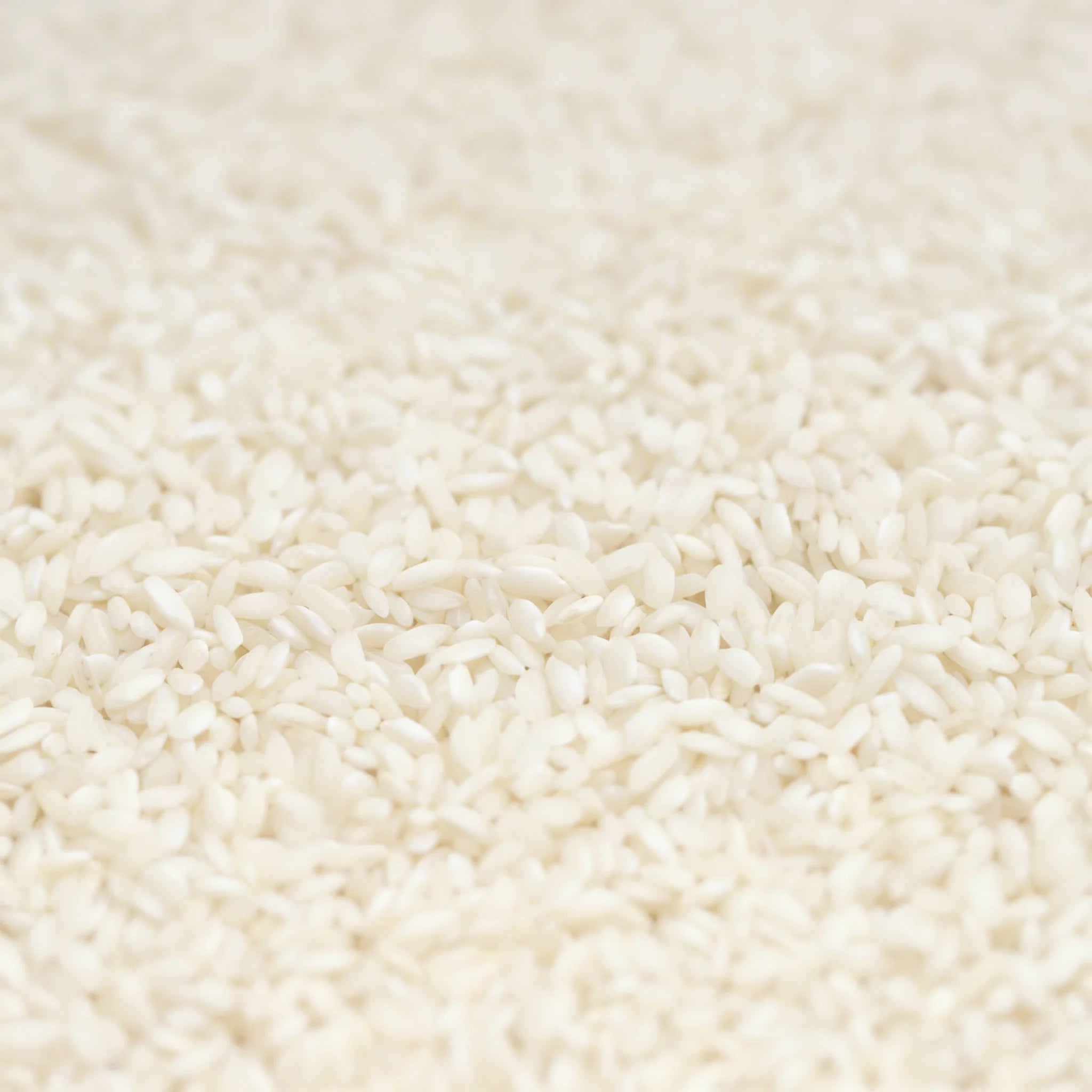 Arroz arbóreo risotto