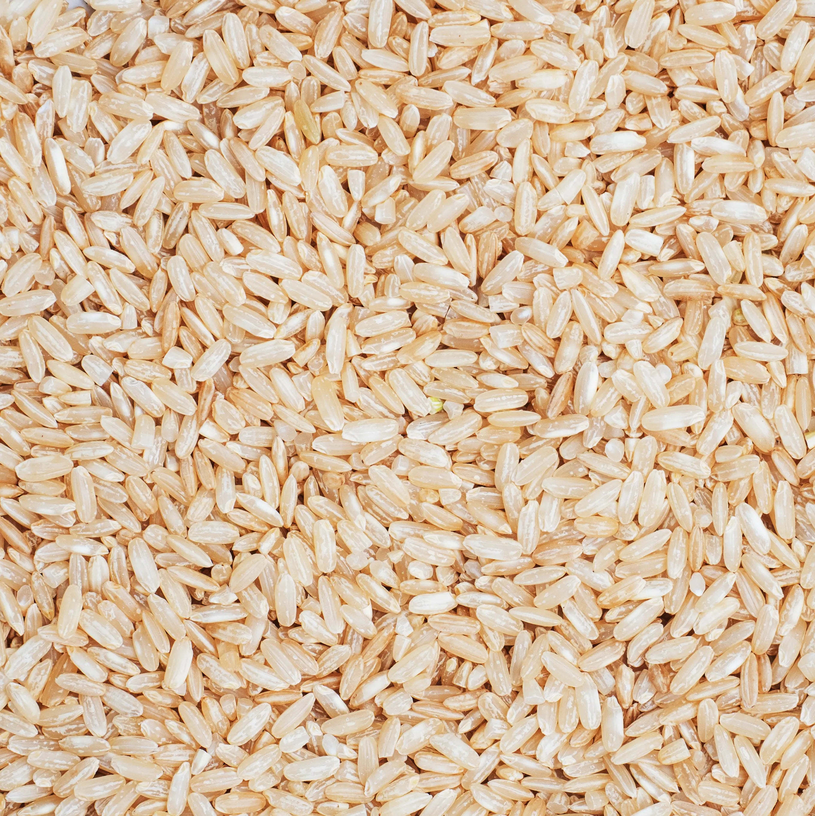 Arroz integral