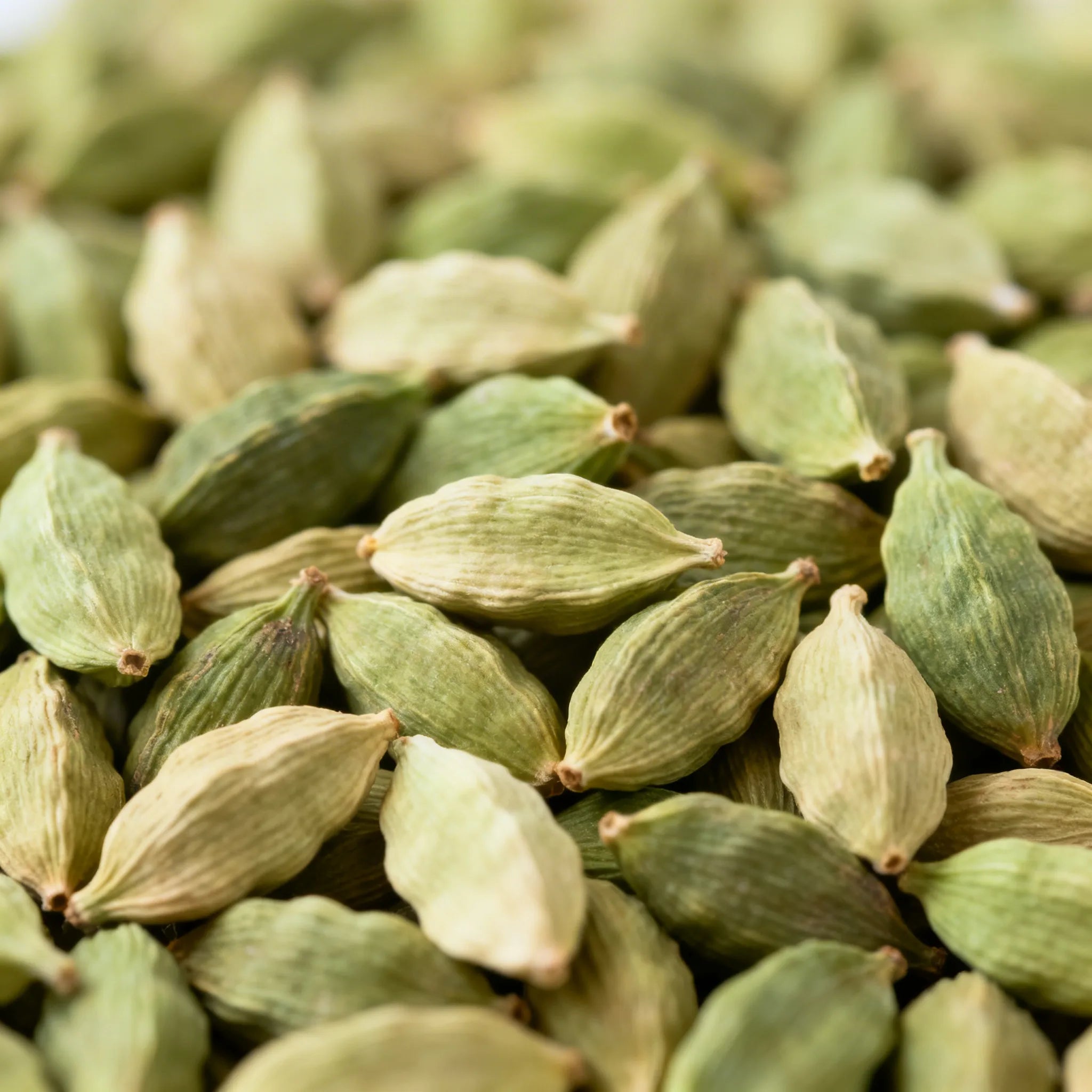 Cardamomo entero