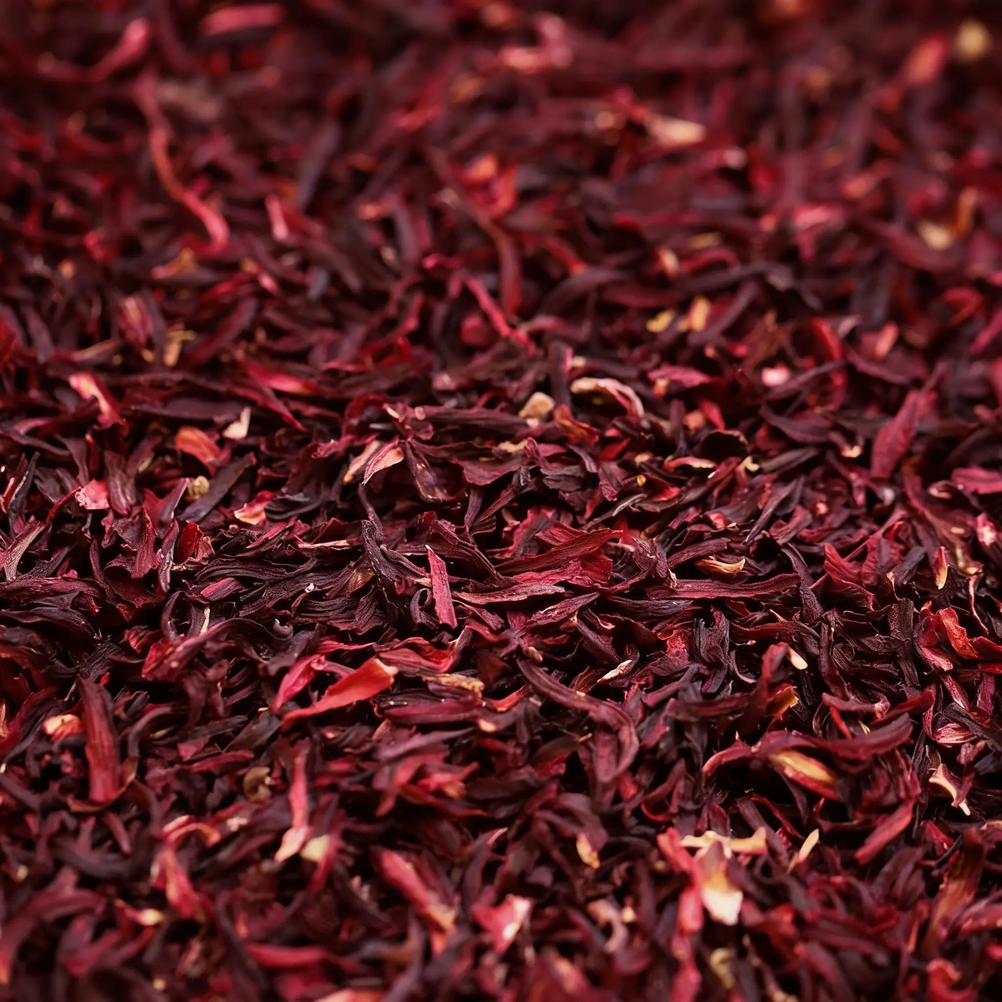 Flor de jamaica