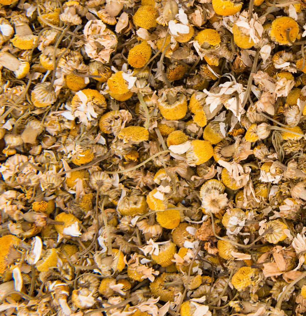 Flor de manzanilla