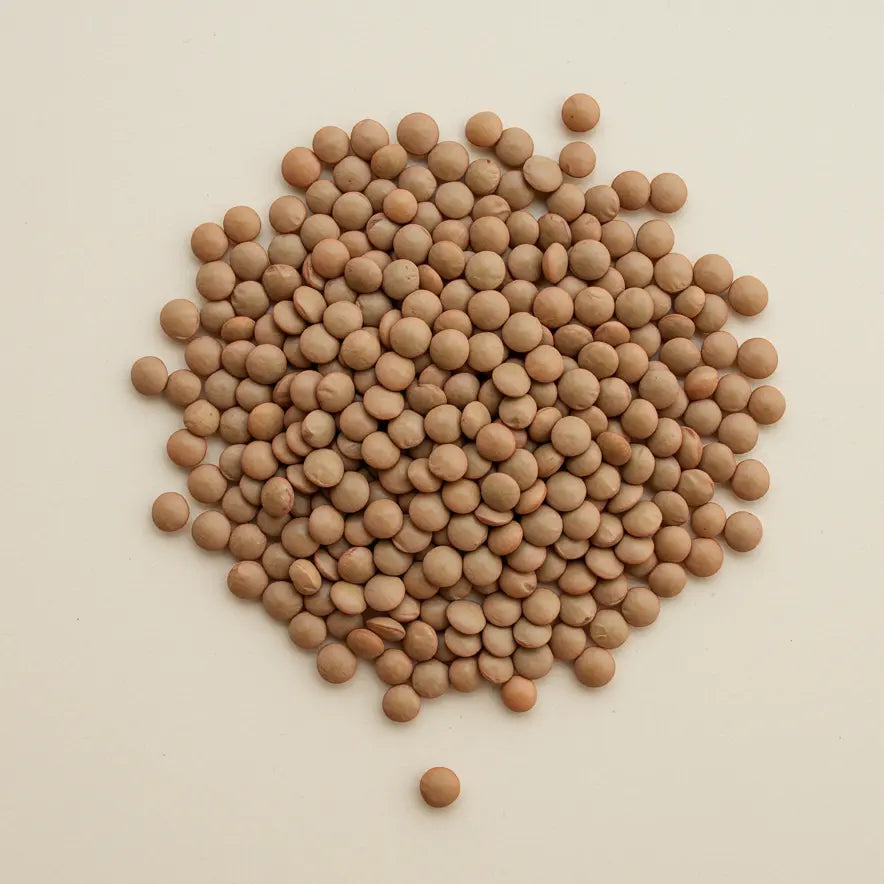 Granos, Cereales y Legumbres