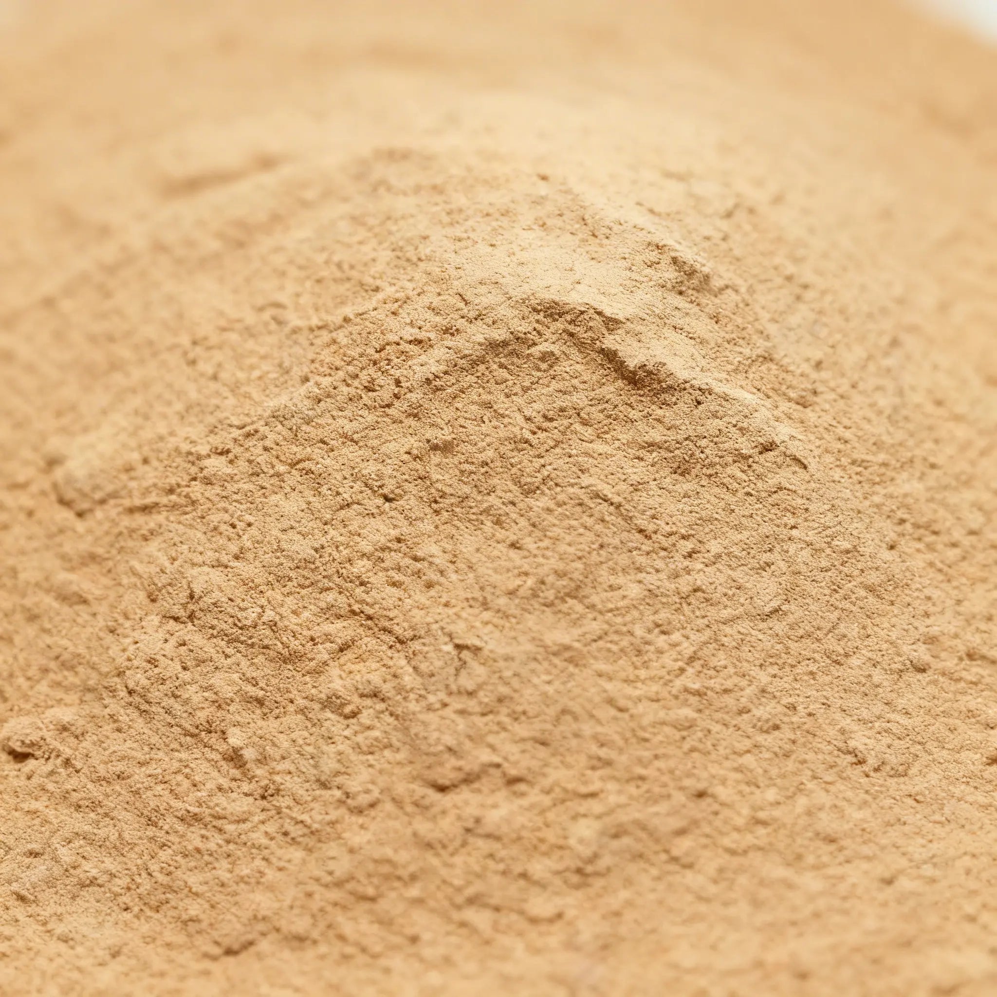 Maca en polvo