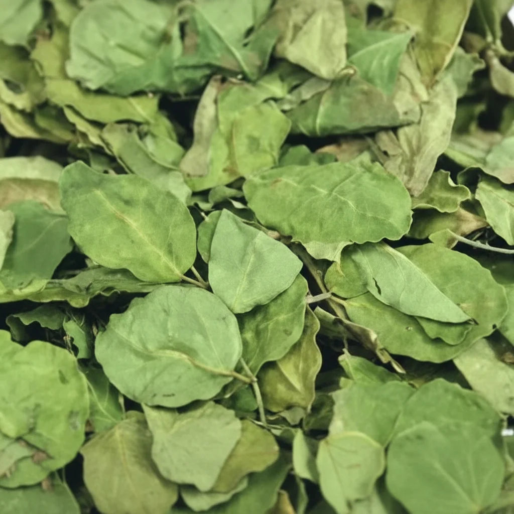 Moringa en escamas