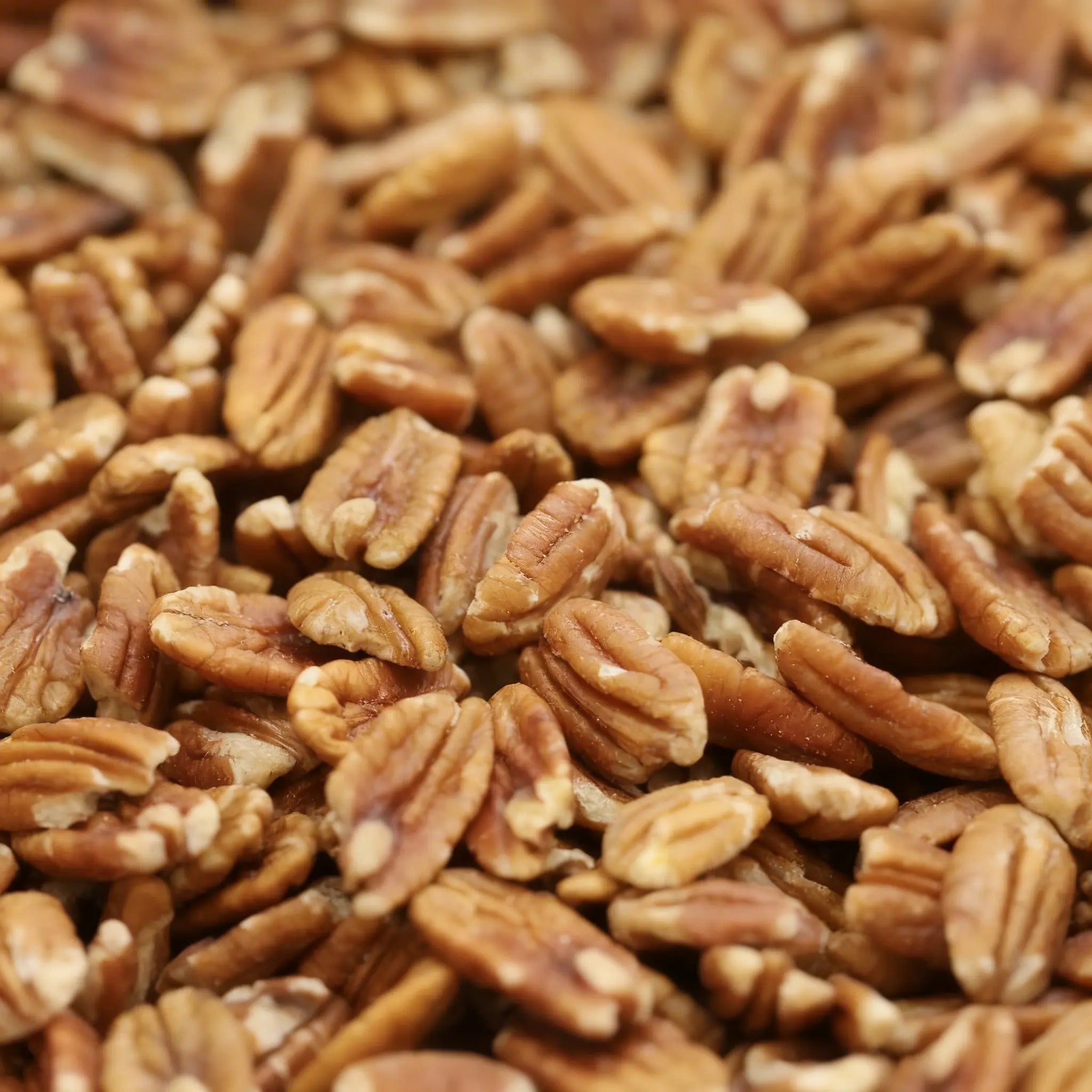 Nuez pecana