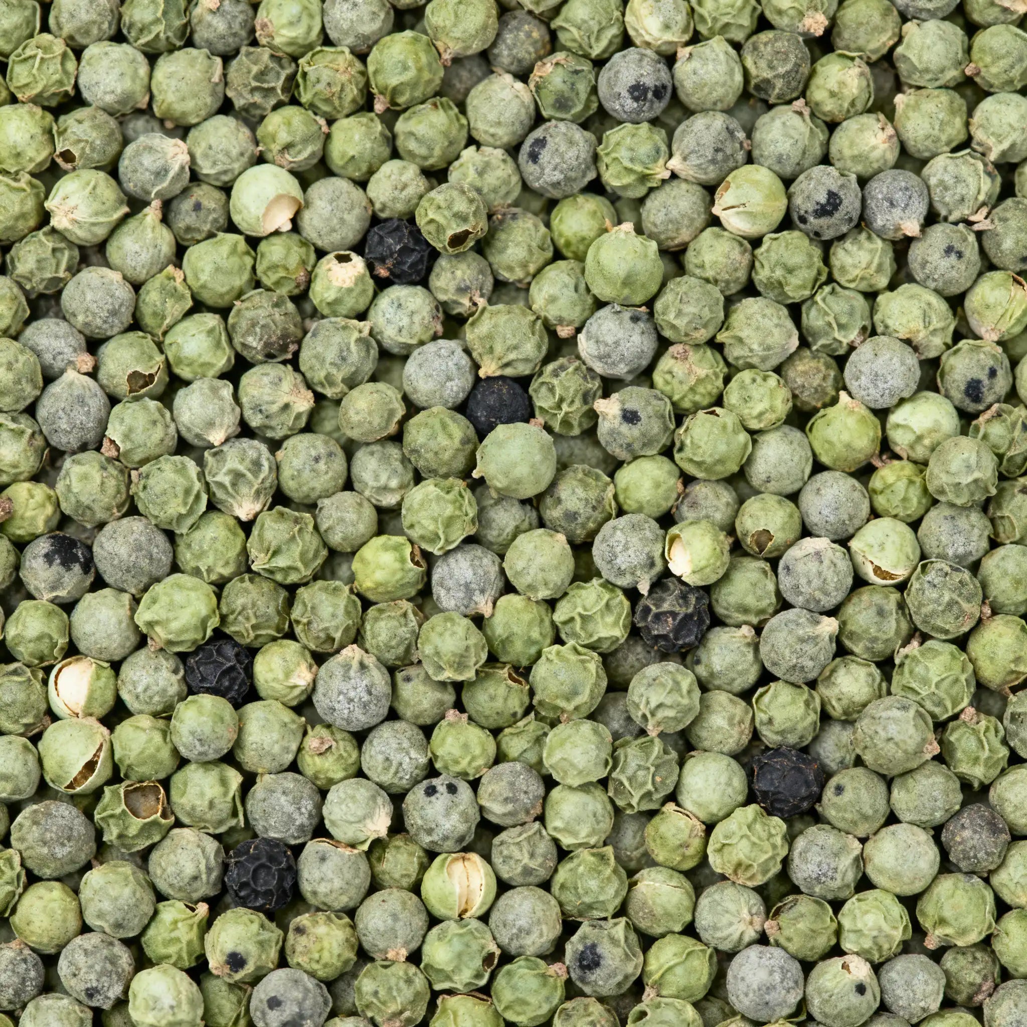 Pimienta verde