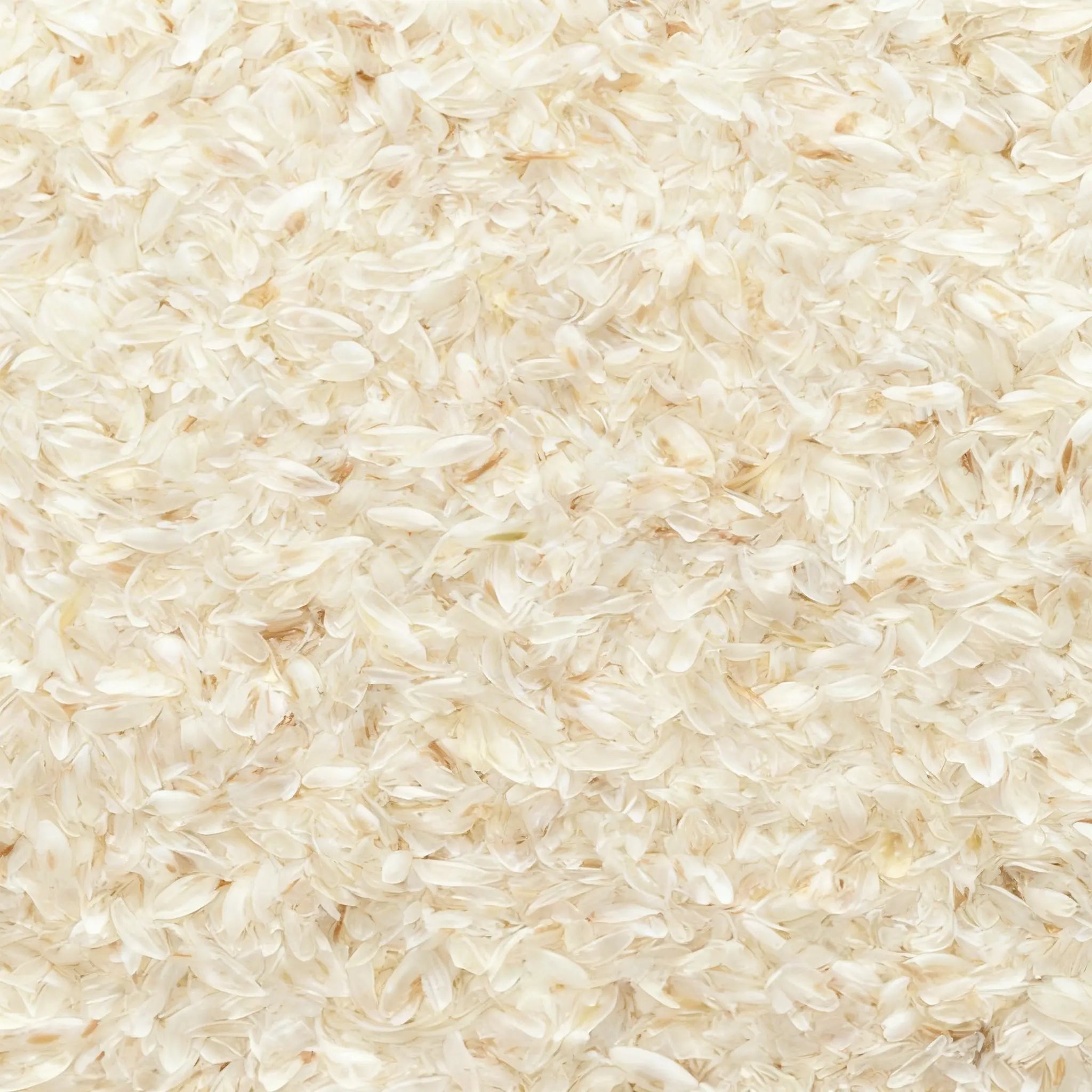 Psyllium