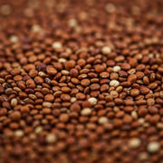 Quinoa roja