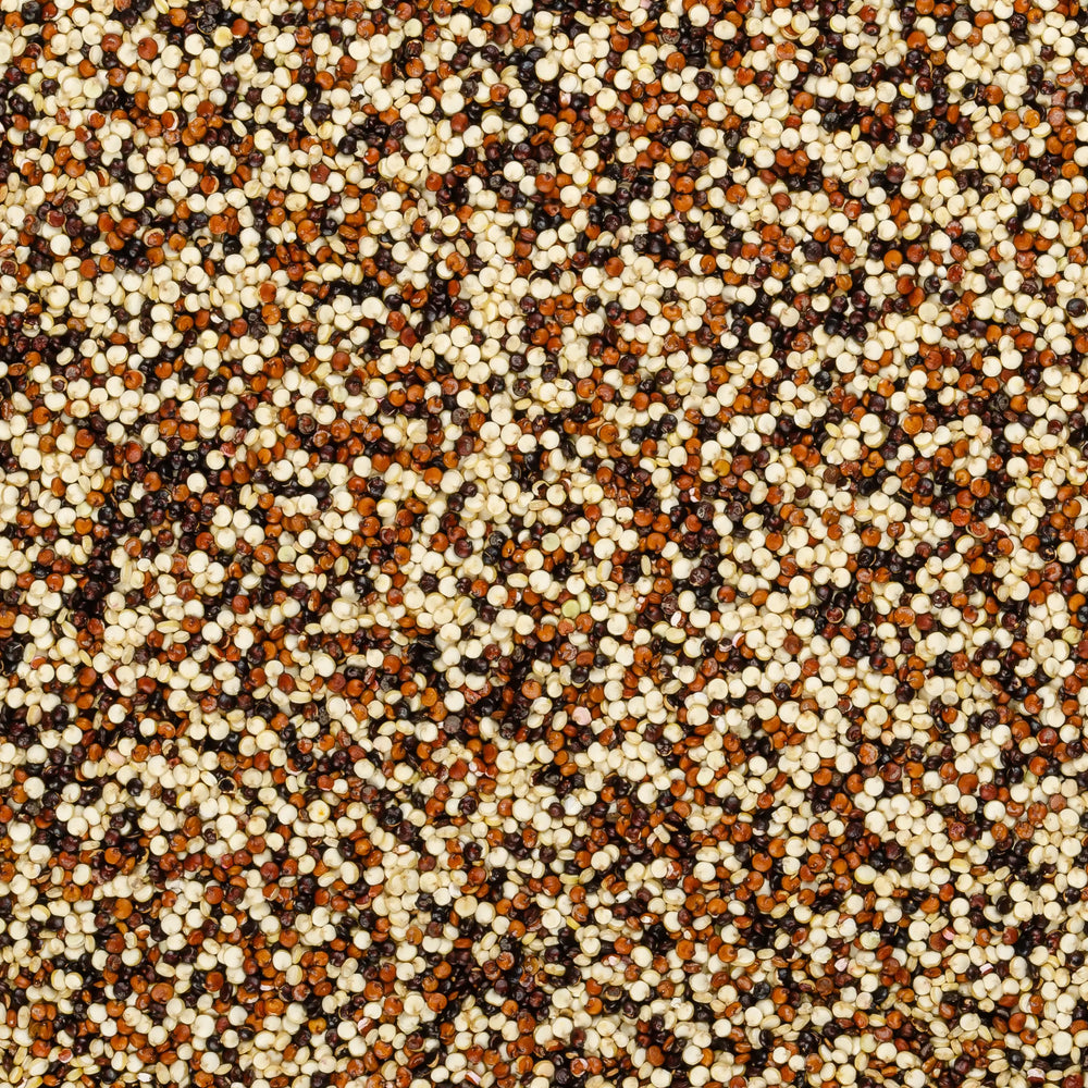 Quinoa tricolor