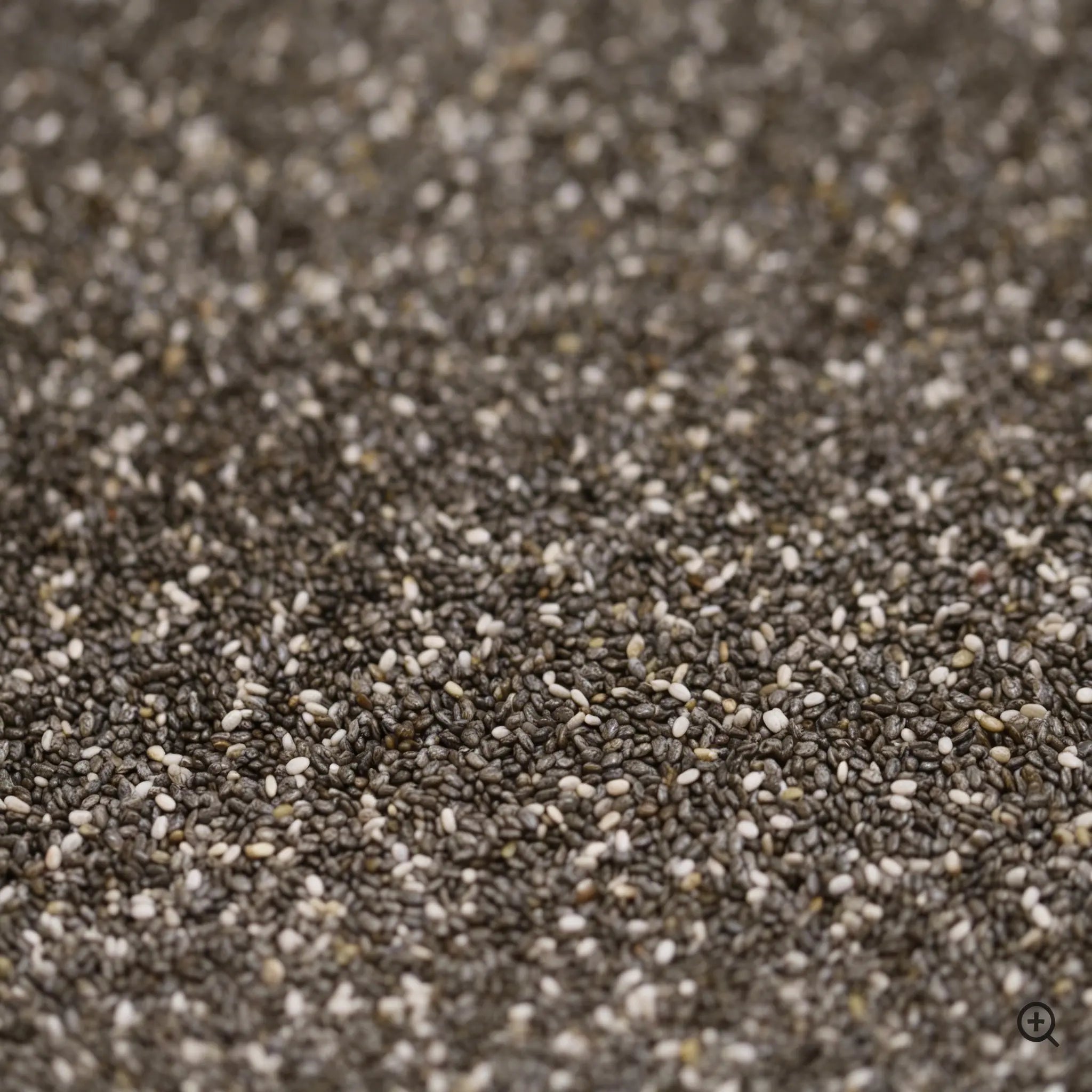 Semillas de chia
