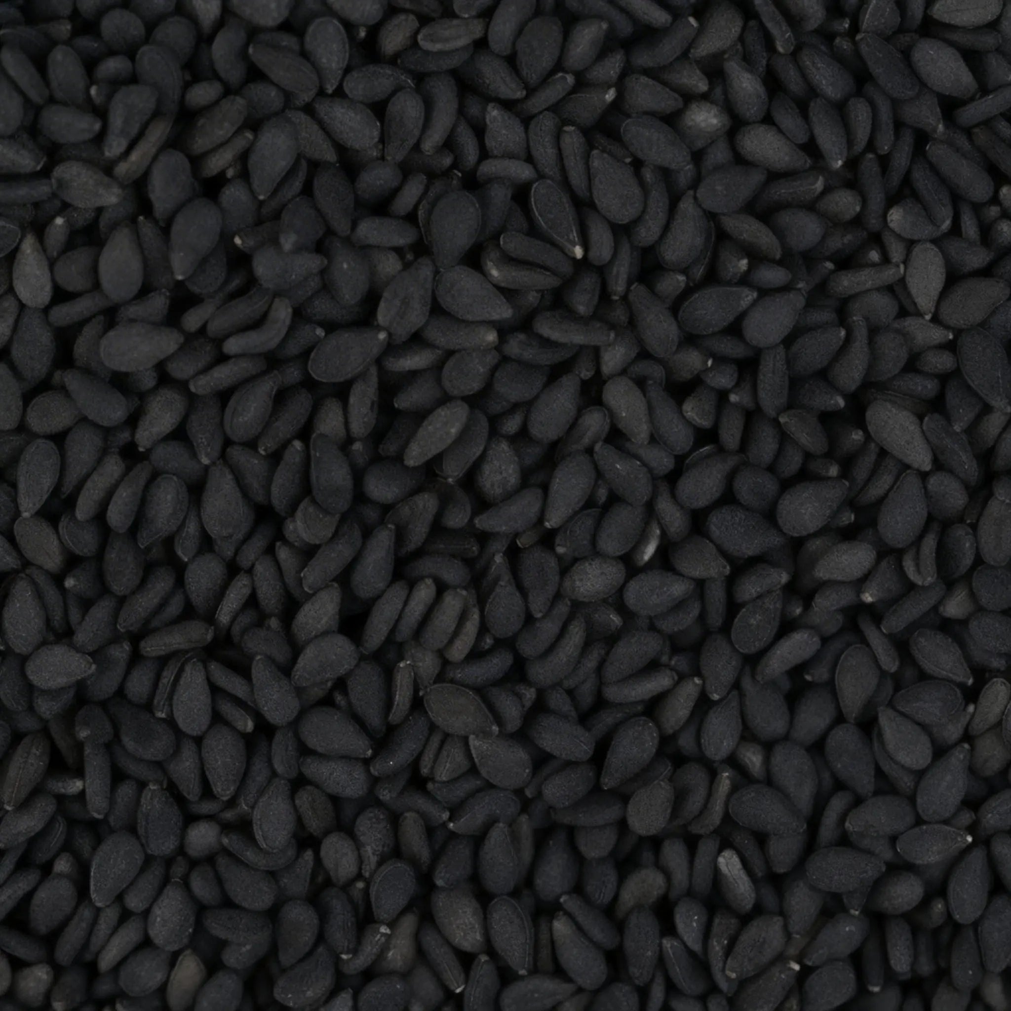 Ajonjolí negro